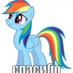 Raibow Dash