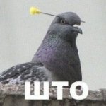 Серж