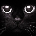 Дима Кот