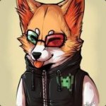 Mr.Fox