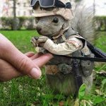 Игорек