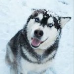 Костя