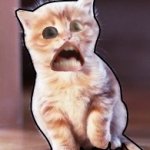 Михаил