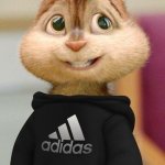 Санек