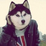 Сергей Острицов