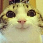Костя Костырко