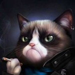 Никита Сапожник