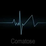 Camatose Nil