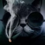 Никита Страхов