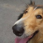 Антон Безруков