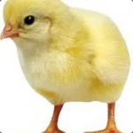 оКАКИЙ