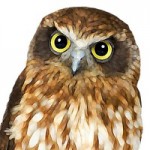 Никита Зайцев