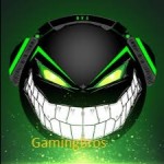 Gamer Bros