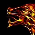 Fire Wolfy:3
