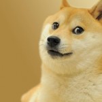 doge funny