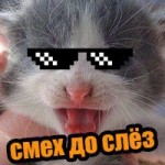 Мурад Шихаев