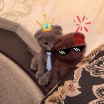 Максим Шершунович