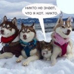 Илья Боб