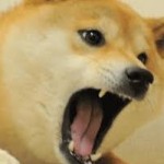 Doge Gamer