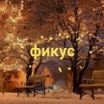 Фикус Гаршков