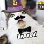 Cat Odi