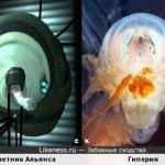 Руслан Игнатович