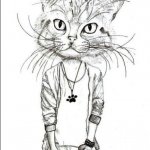 NICE_CAT