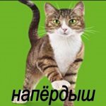 {fullname}