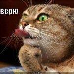 maks