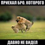beibit