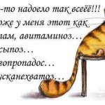 Никита