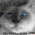 ГОША