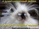 Артем