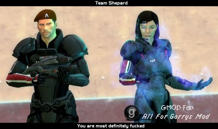 Mass Effect 2 - Cdr. Shepard