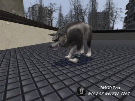 wolflink