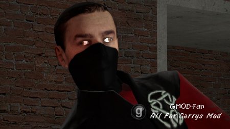 Ninjas