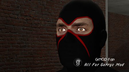 Ninjas