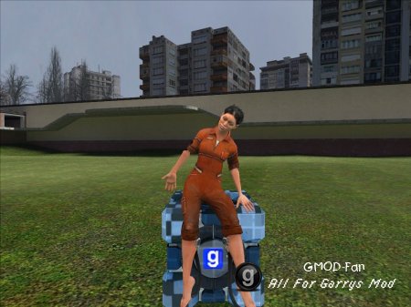 Chell Ragdoll