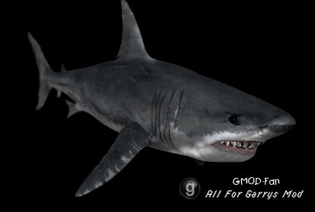 crysis_shark