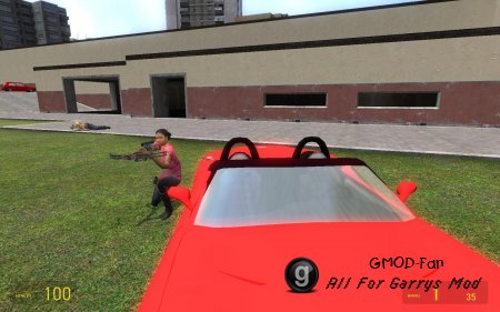 Left 4 Dead 2 Survivor Players