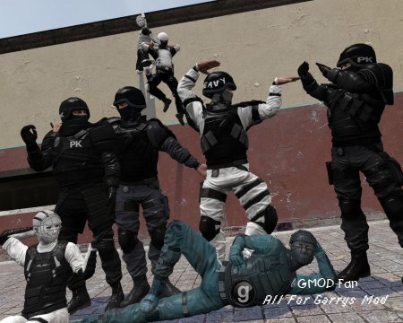 Mirrors Edge Cops