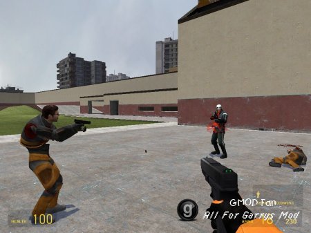 Black Mesa Weapons