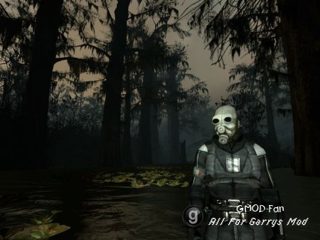 The L4D2 Swamp