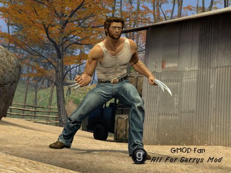 Wolverine - Origins