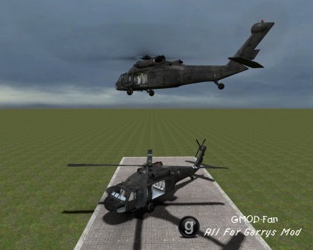 COD4Helis