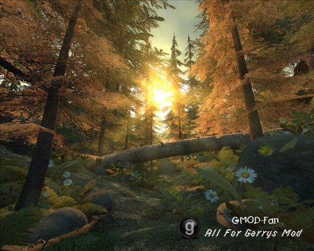 De_forest