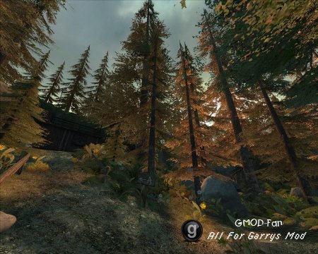 De_forest