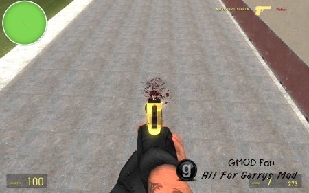 Gold&black Deagle Reskin