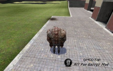 L4D Tank player model