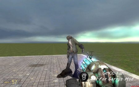 L4D Infected Models